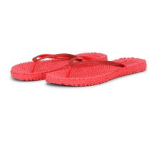 RASP 890